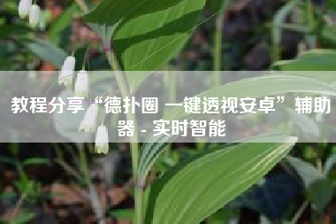 教程分享“德扑圈 一键透视安卓”辅助器 - 实时智能