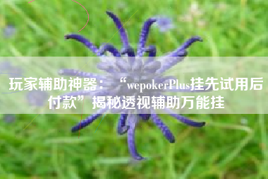 玩家辅助神器：“wepokerPlus挂先试用后付款”揭秘透视辅助万能挂