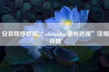 安装程序教程“sohoopoker德州透视	”详细开挂