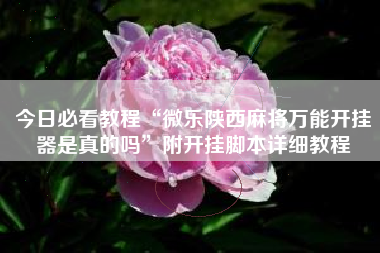 今日必看教程“微乐陕西麻将万能开挂器是真的吗”附开挂脚本详细教程