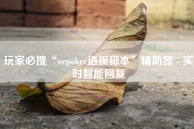 玩家必搜“wepoker透视脚本	”辅助器 - 实时智能回复