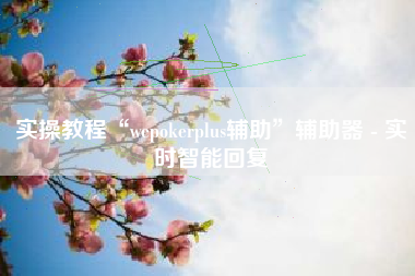 实操教程“wepokerplus辅助”辅助器 - 实时智能回复