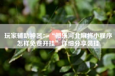 玩家辅助神器：“微乐河北麻将小程序怎样免费开挂	”详细分享装挂