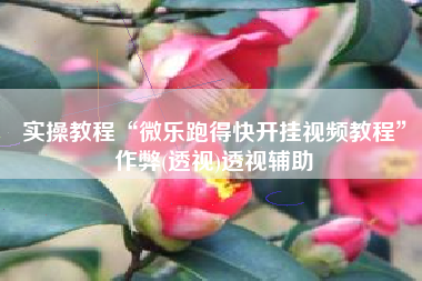 实操教程“微乐跑得快开挂视频教程	”作弊(透视)透视辅助