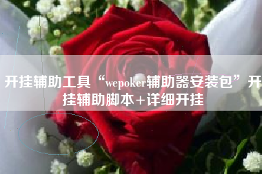 开挂辅助工具“wepoker辅助器安装包	”开挂辅助脚本+详细开挂