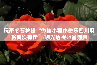 玩家必看教程“微信小程序微乐四川麻将有没有挂	”(曝光透视必备猫腻