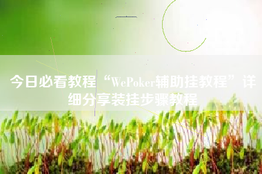 今日必看教程“WePoker辅助挂教程”详细分享装挂步骤教程