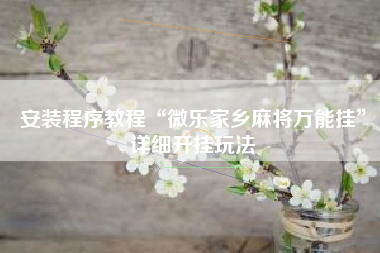 安装程序教程“微乐家乡麻将万能挂”详细开挂玩法