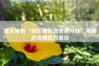 真实辅助“微乐辅助器免费开挂”揭秘透视辅助万能挂