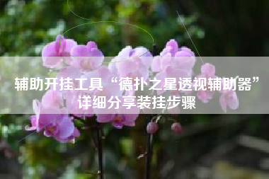 辅助开挂工具“德扑之星透视辅助器”详细分享装挂步骤