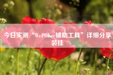今日实测“WePOKer辅助工具”详细分享装挂