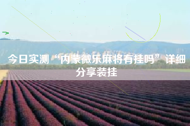 今日实测“内蒙微乐麻将有挂吗”详细分享装挂