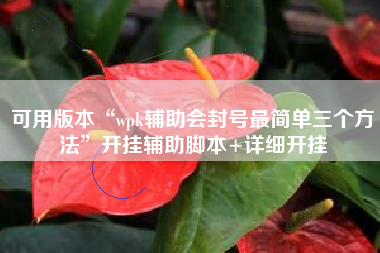 可用版本“wpk辅助会封号最简单三个方法	”开挂辅助脚本+详细开挂