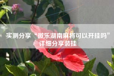 实测分享“微乐湖南麻将可以开挂吗	”详细分享装挂