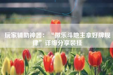 玩家辅助神器：“微乐斗地主拿好牌规律”详细分享装挂