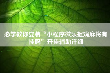 必学教你安装“小程序微乐捉鸡麻将有挂吗”开挂辅助详细