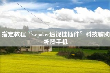 指定教程“wepoker透视挂插件	”科技辅助神器手机
