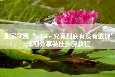 独家实测“wepoker究竟到底有没有透视”详细分享装挂步骤教程