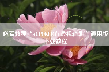 必看教程“AGPOKER有透视辅助”通用版下载教程