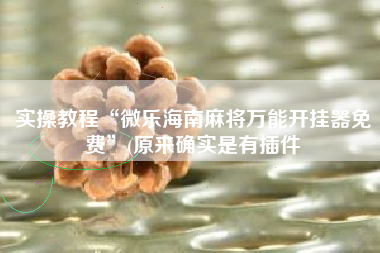 实操教程“微乐海南麻将万能开挂器免费”(原来确实是有插件