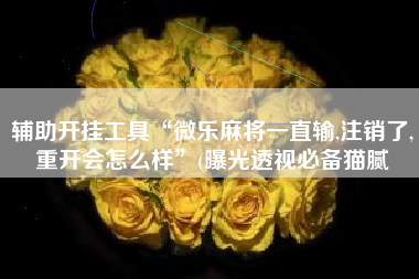 辅助开挂工具“微乐麻将一直输,注销了,重开会怎么样	”(曝光透视必备猫腻