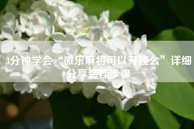 3分钟学会“微乐麻将可以开挂么”详细分享装挂步骤