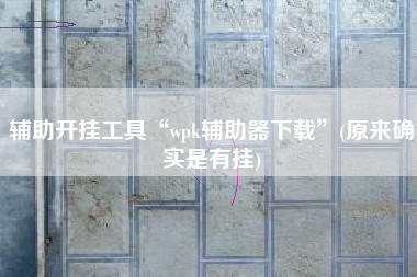 辅助开挂工具“wpk辅助器下载”(原来确实是有挂)