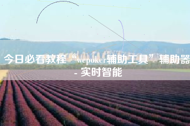 今日必看教程“wepoker辅助工具	”辅助器 - 实时智能