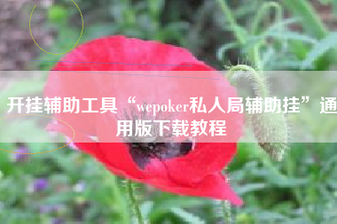开挂辅助工具“wepoker私人局辅助挂	”通用版下载教程