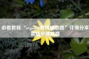 必看教程“wepoker看牌辅助器”详细分享装挂步骤教程