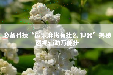 必备科技“微乐麻将有挂么 神器”揭秘透视辅助万能挂