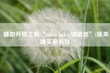 辅助开挂工具“sohoo poker辅助器	”(原来确实是有挂)