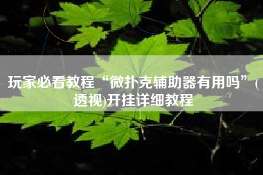 玩家必看教程“微扑克辅助器有用吗”(透视)开挂详细教程