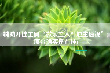 辅助开挂工具“微乐三人斗地主透视	”(原来确实是有挂)