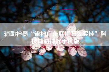 辅助神器“雀神广东麻将怎么买挂”科技辅助神器手机版