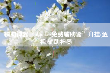 辅助神器“hhpoker免费辅助器”开挂(透视)辅助神器