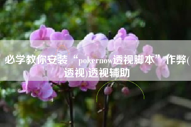 必学教你安装“pokernow透视脚本”作弊(透视)透视辅助