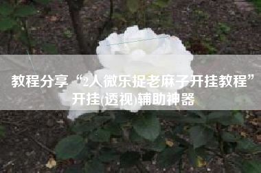 教程分享“2人微乐捉老麻子开挂教程”开挂(透视)辅助神器