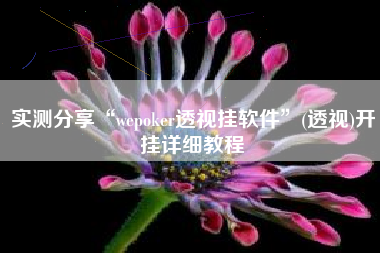 实测分享“wepoker透视挂软件”(透视)开挂详细教程