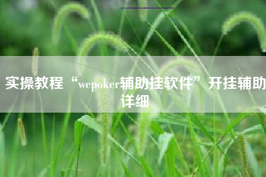 实操教程“wepoker辅助挂软件	”开挂辅助详细