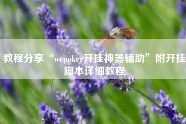 教程分享“wepoker开挂神器辅助	”附开挂脚本详细教程