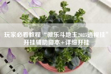 玩家必看教程“微乐斗地主2025透视挂	”开挂辅助脚本+详细开挂