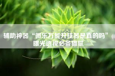 辅助神器“微乐万能开挂器是真的吗	”(曝光透视必备猫腻