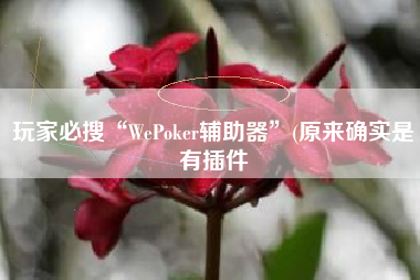 玩家必搜“WePoker辅助器	”(原来确实是有插件