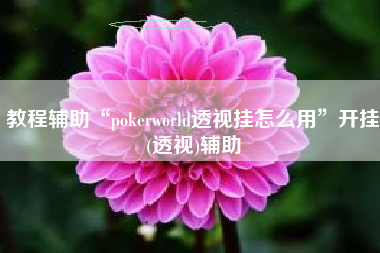 教程辅助“pokerworld透视挂怎么用	”开挂(透视)辅助
