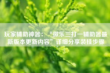 玩家辅助神器：“微乐三打一辅助器最新版本更新内容	”详细分享装挂步骤