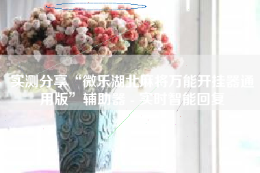 实测分享“微乐湖北麻将万能开挂器通用版”辅助器 - 实时智能回复