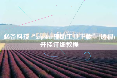 必备科技“aapoker辅助工具下载	”(透视)开挂详细教程