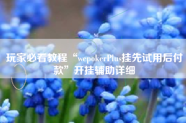 玩家必看教程“wepokerPlus挂先试用后付款”开挂辅助详细