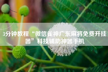 3分钟教程“微信雀神广东麻将免费开挂器”科技辅助神器手机